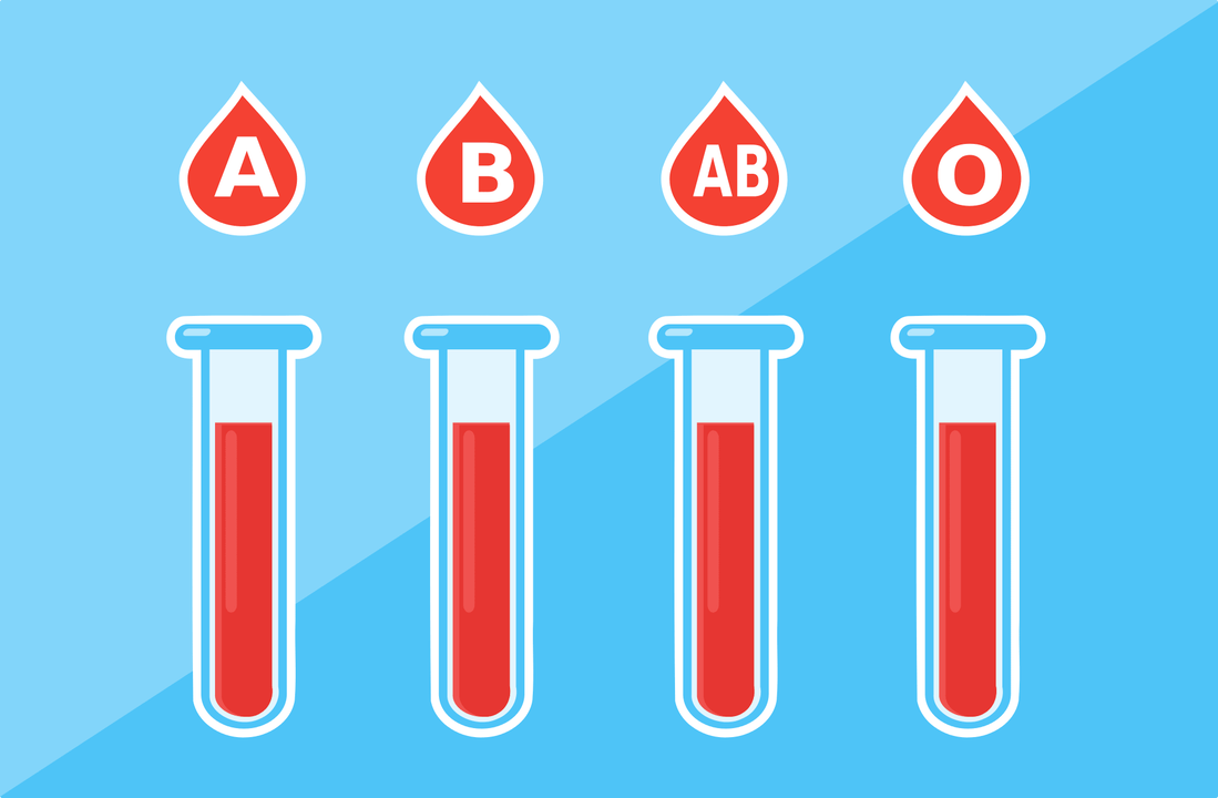 هناك 4 فصائل دم - A، B، AB، O